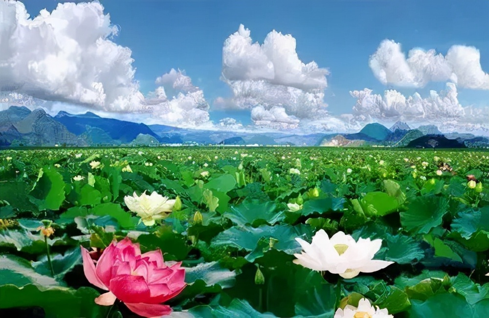 云南旅游特色小镇有哪些,比较有特色的云南小镇