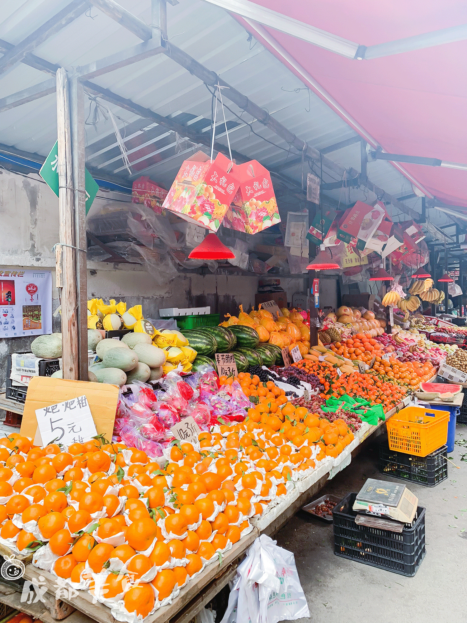 被学生吐槽最多的中医大老校区,没想到还是个“宝藏地”