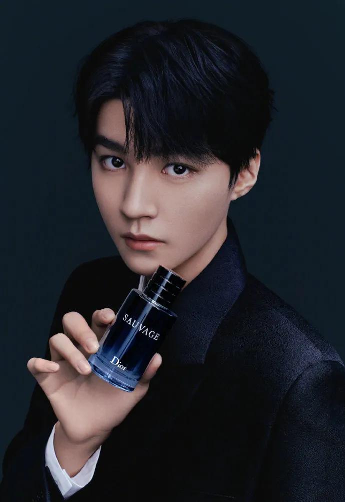 迪奥中国品牌大使王俊凯,dior迪奥形象大使王俊凯