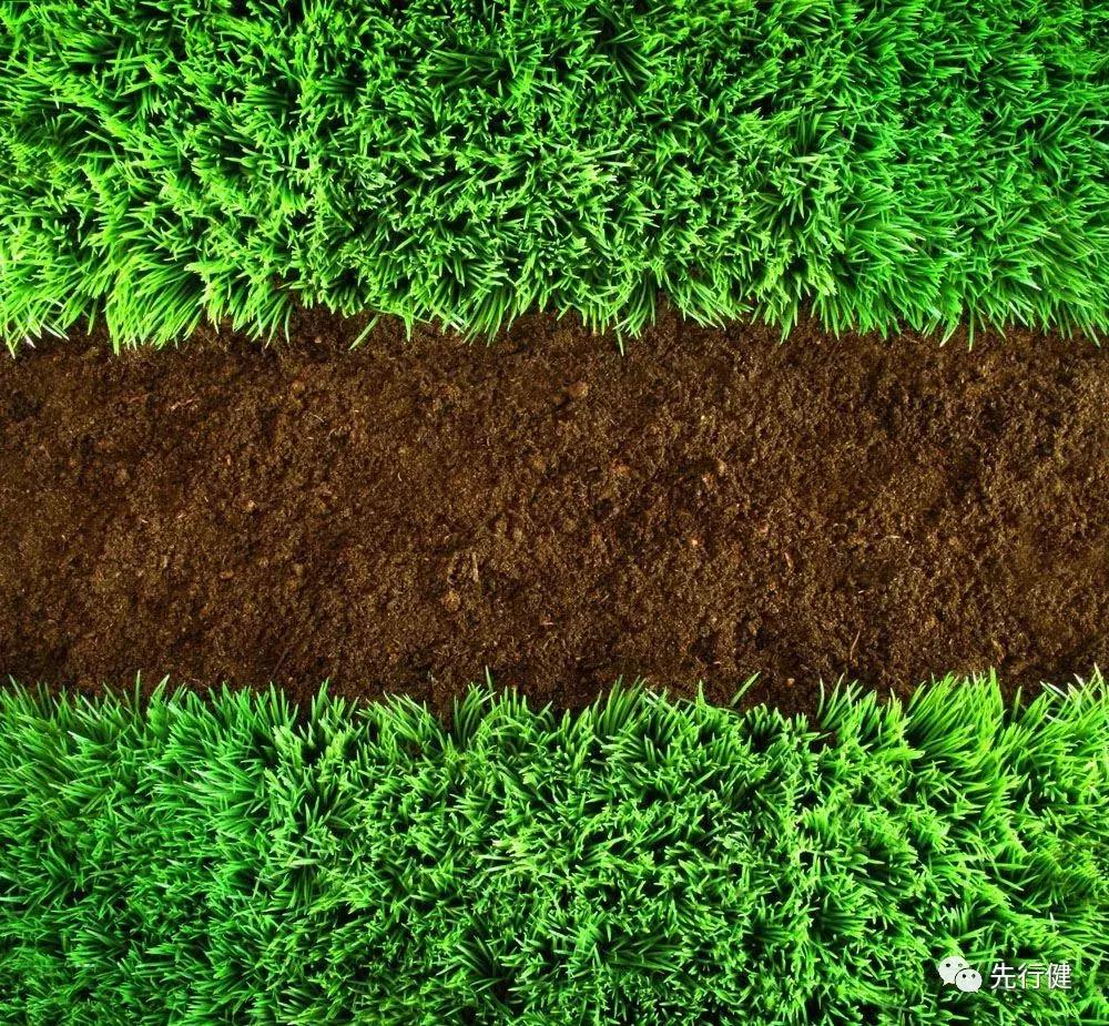 治疗癌症必须要做好哪些,剖析西医对癌症的治疗