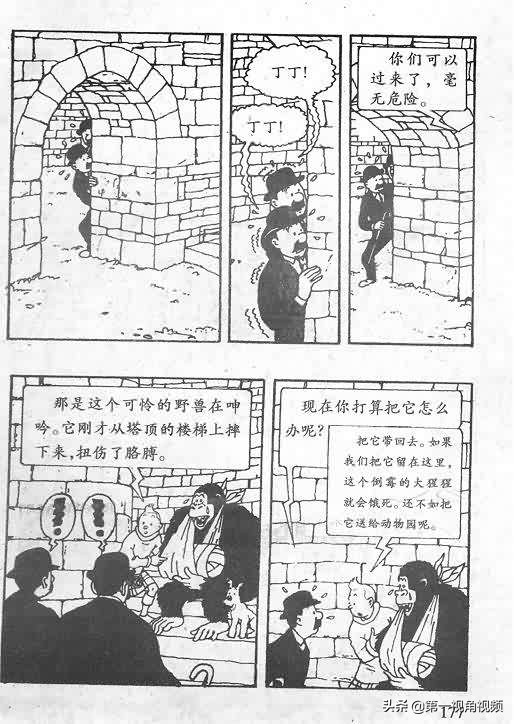 丁丁历险记刚果完整版,丁丁历险记西藏