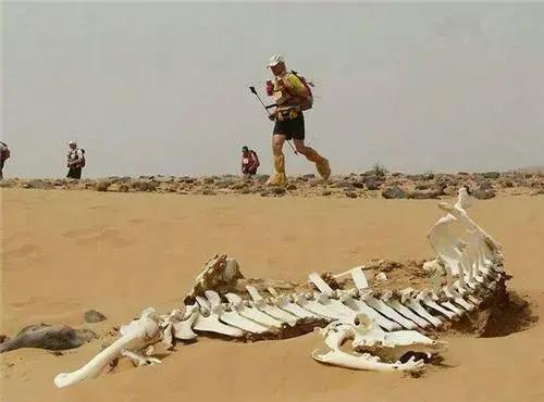 全球十大恐怖禁区有哪些,全球十大最恐怖禁区