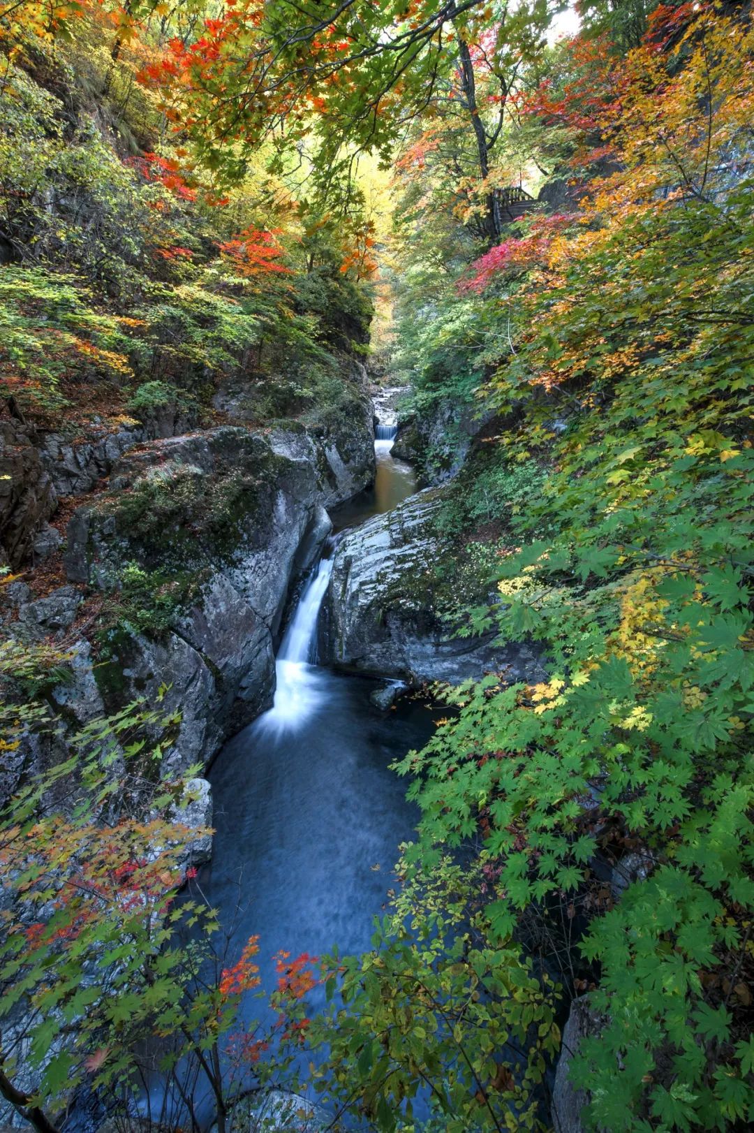 谁是东北第一城,谁才是东北第一城市