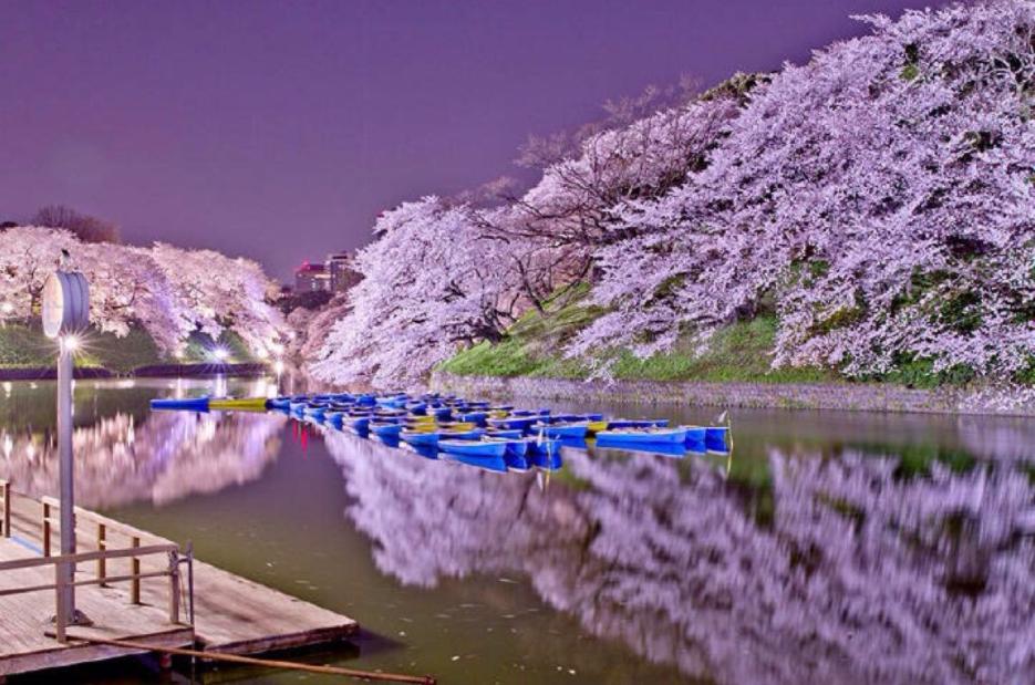 日本人为何悍不畏死,日本的武士精神有多可怕