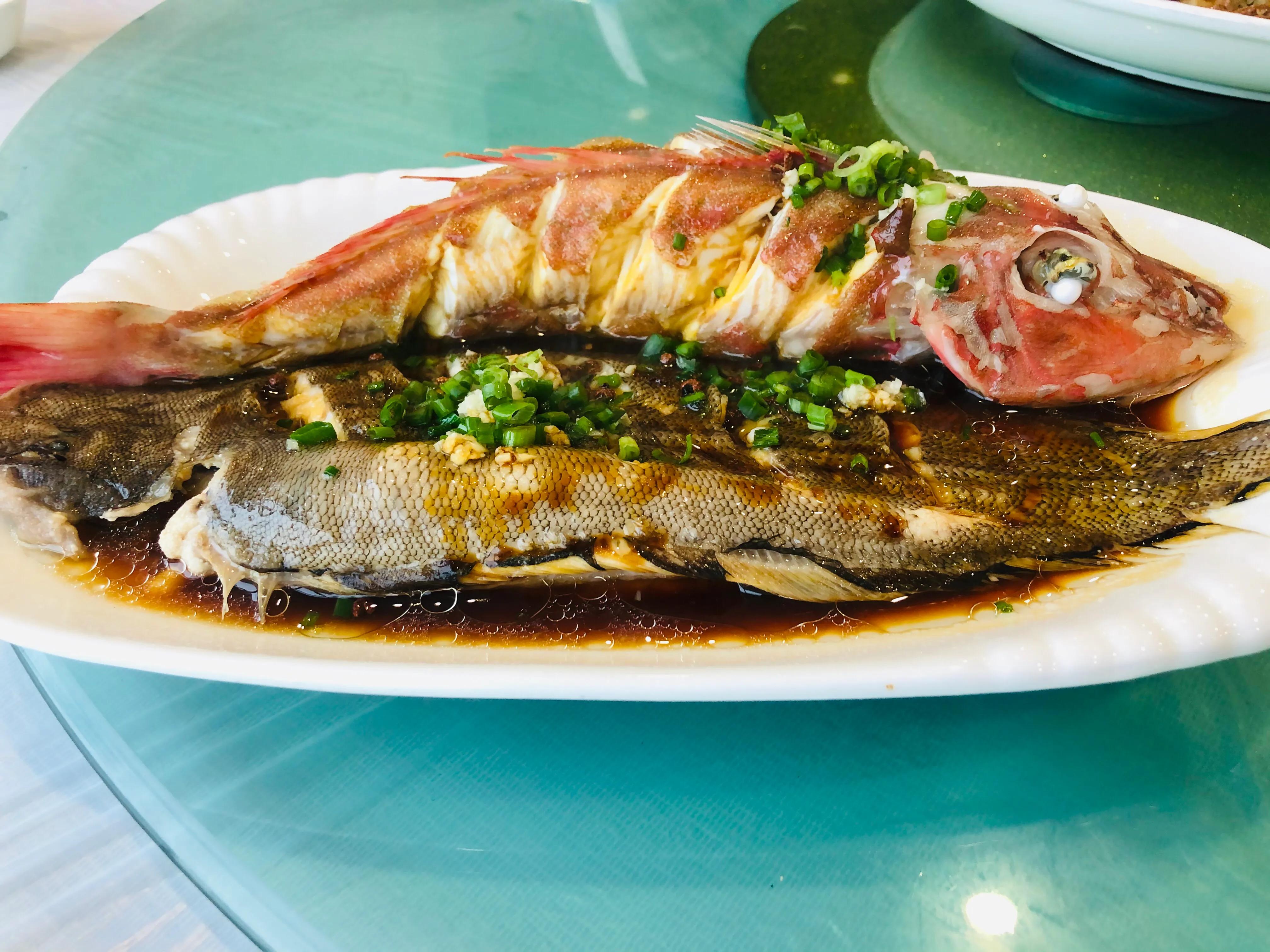 蓝天白云枸杞岛 (枸杞岛吃喝玩乐)