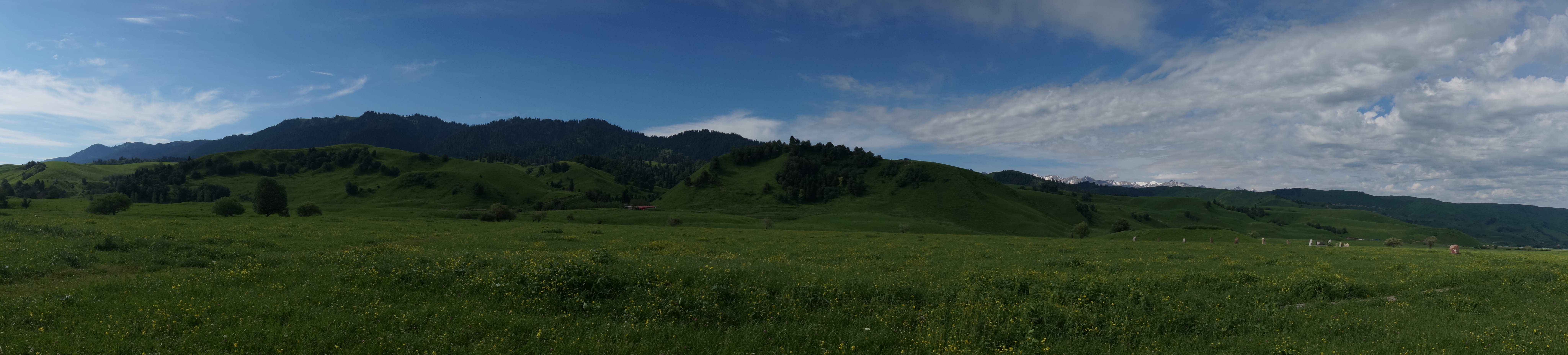 最新自驾出疆路线攻略,湖北出发新疆自驾游最佳路线寒假