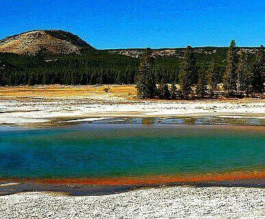 鍖楃編鏋儏闃虫柊,鍖楃編鏋儏鍥剧墖