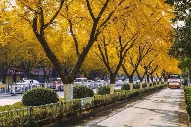 手绘芜湖图,芜湖市手绘地图