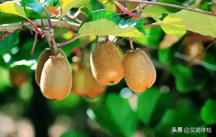 合肥大蜀山详细攻略,合肥大蜀山是什么时候去比较好看