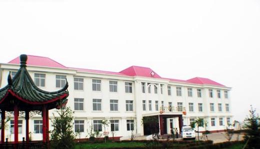 河北有个村很厉害,河北经济最强的100乡镇排名