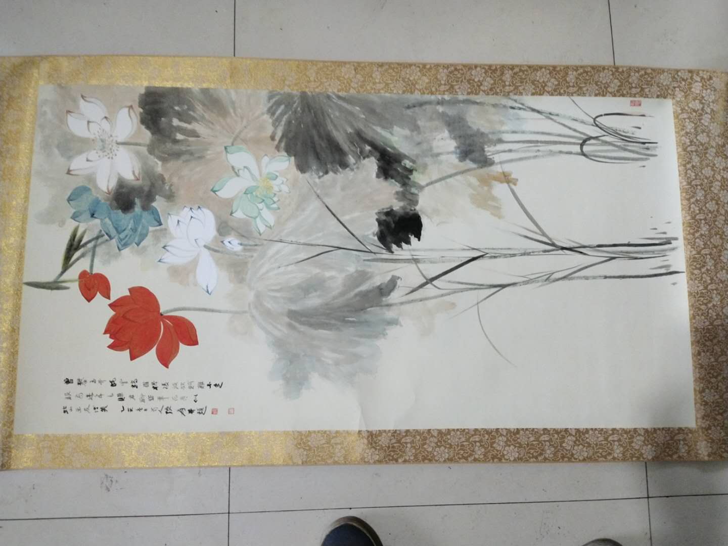 顶级荷花图,精品荷花品种大全