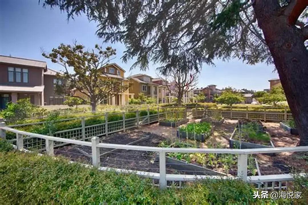 缔造硅谷传奇的伟大城市——湾区帕罗奥图PaloAlto