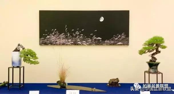 日本盆景巨匠木村正彦作品全程 (木村正彦盆景作品)