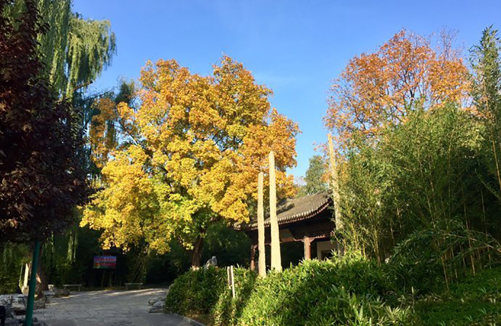 北京紫竹院公园里有什么景点,北京一日游海淀区紫竹苑风景优美