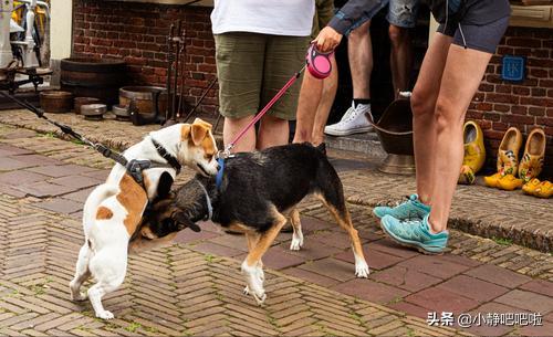 你不知道的国家冷知识捷克,你不知道的国家冷知识立陶宛