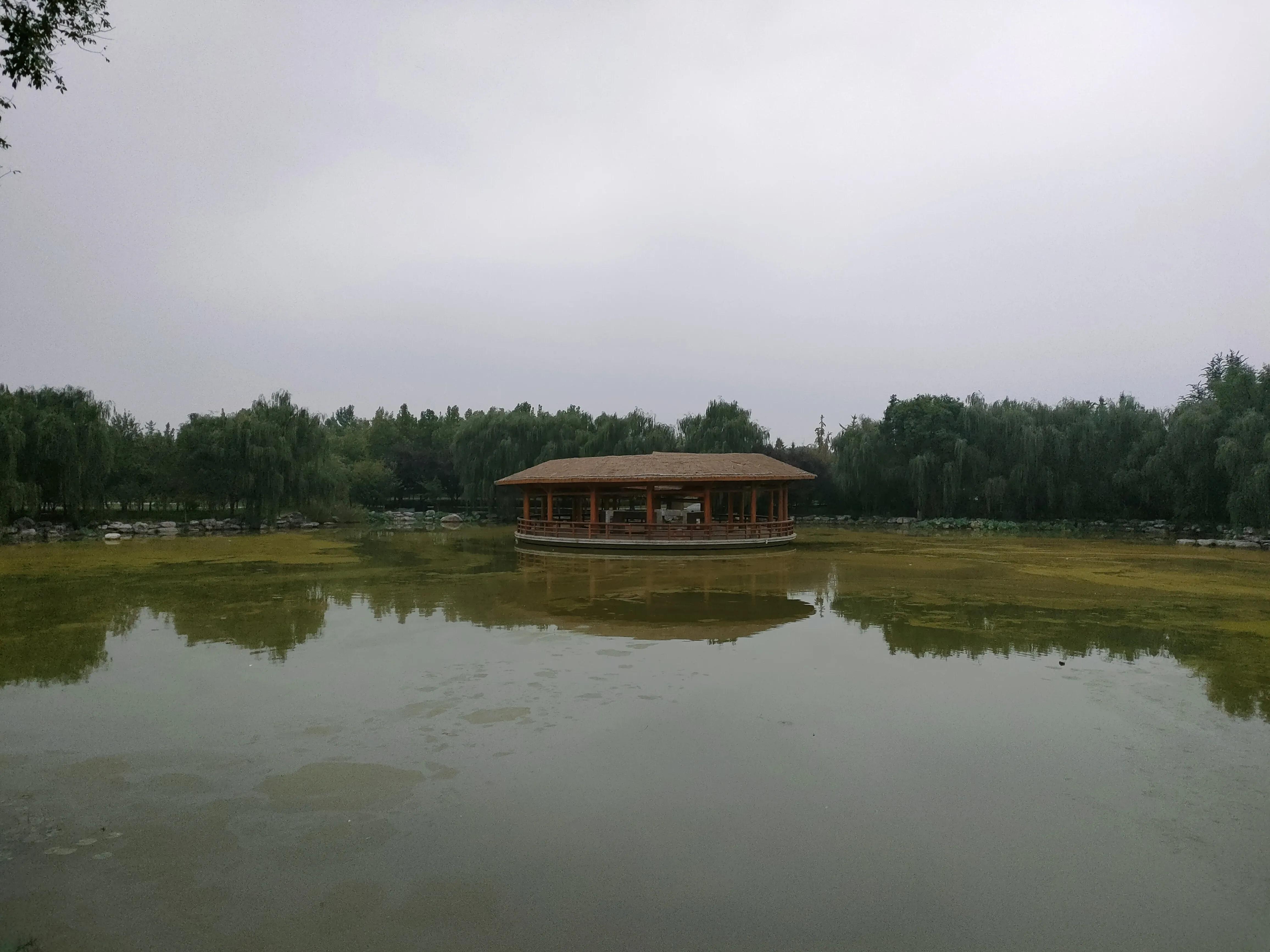 游西安曲江海洋极地公园,国庆去西安海洋极地公园