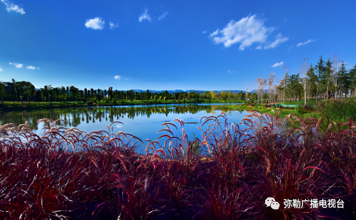 什么是弥勒教,什么是弥勒尊佛