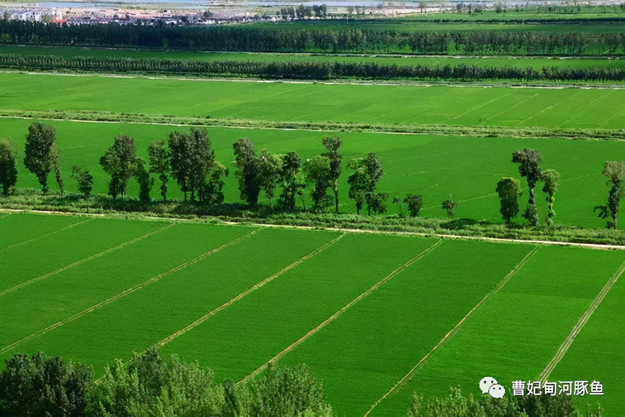 曹妃甸的新传说,渤海湾曹妃甸的魅力