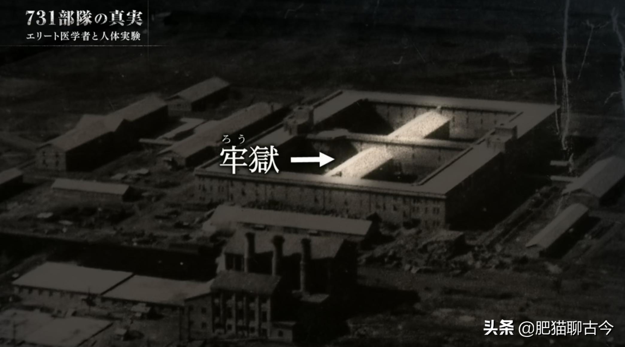 「酷刑使徒」活体解剖、冰冻实验,揭秘东方奥斯维辛真相(下)