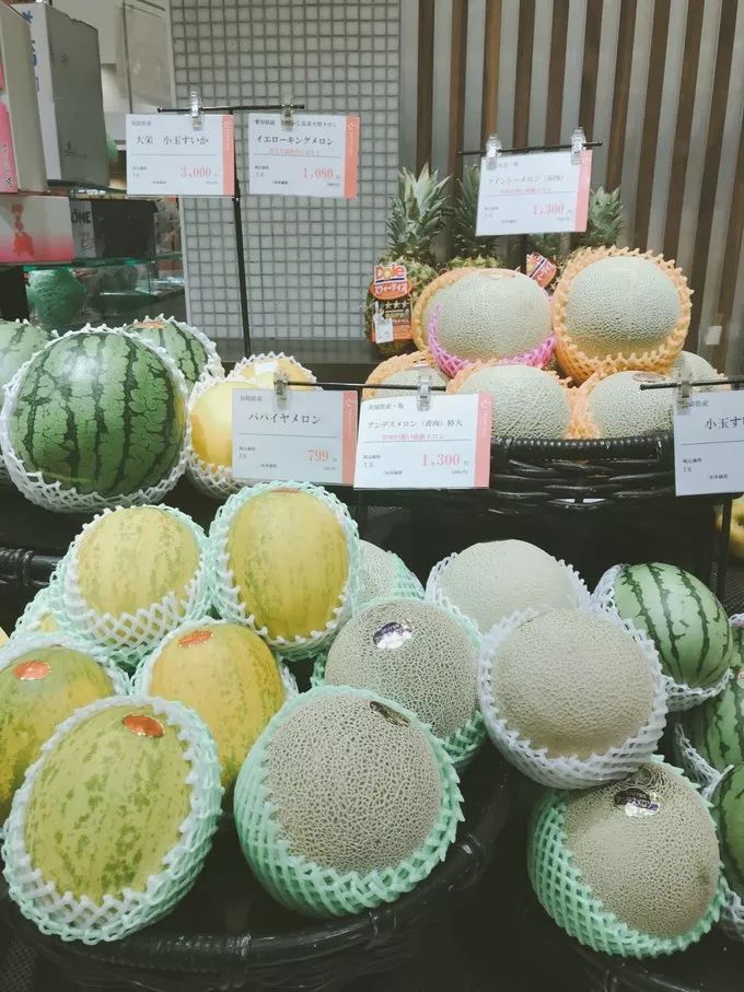 不一样的大阪三日游，瑠璃一束光，值得一来再来