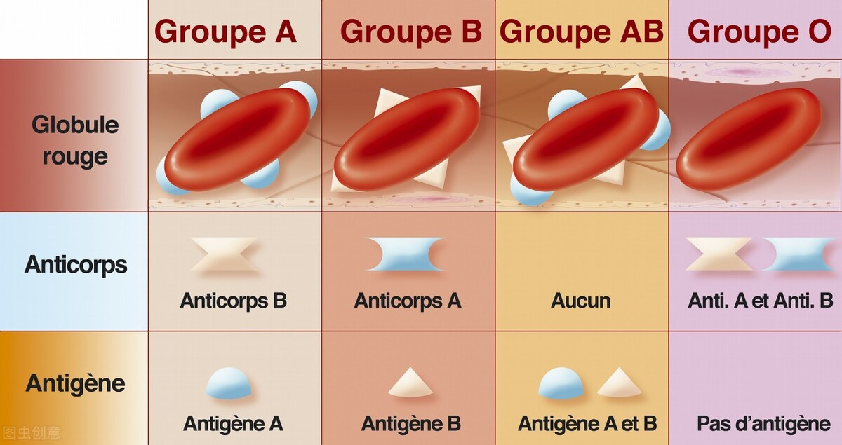 江苏发现2例全球罕见黄金血型,全球排名前三罕见血型