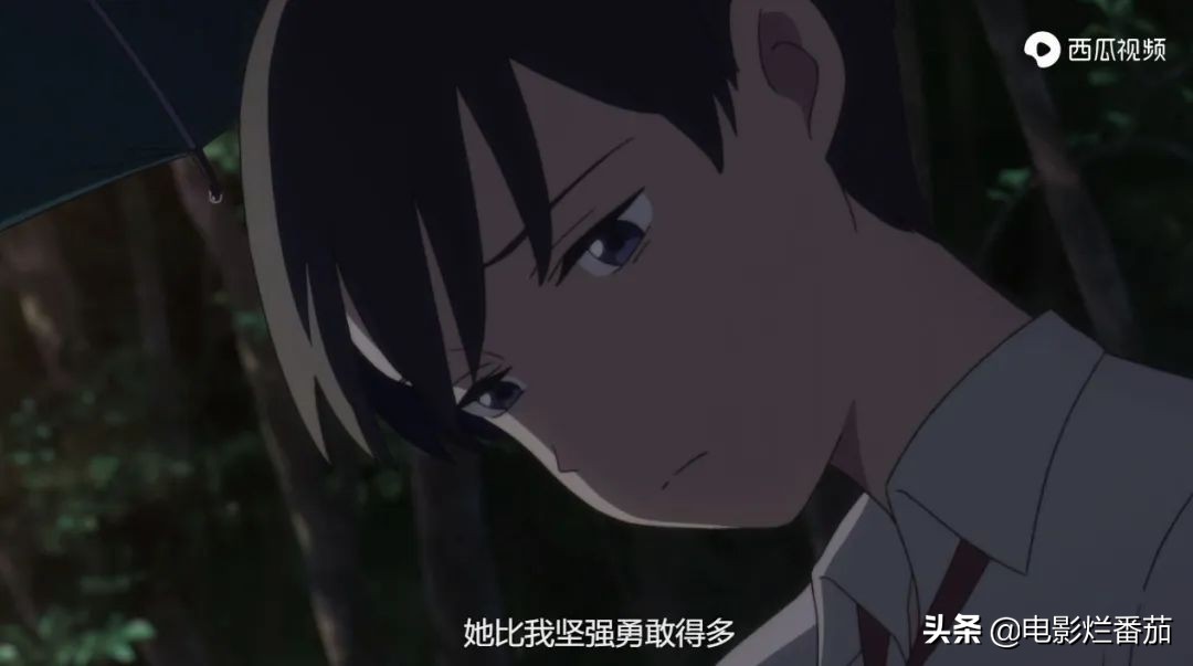 这部温情的撸猫片,让我哭得溃不成军,这是全世界猫*党**的胜利