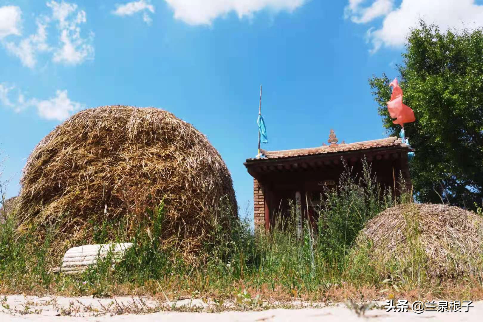 兰州南部大山深处山脊线上的美丽原野乡村沟对巴