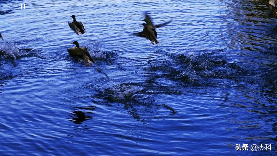 音画分离硬盘播放机,音画分离播放机