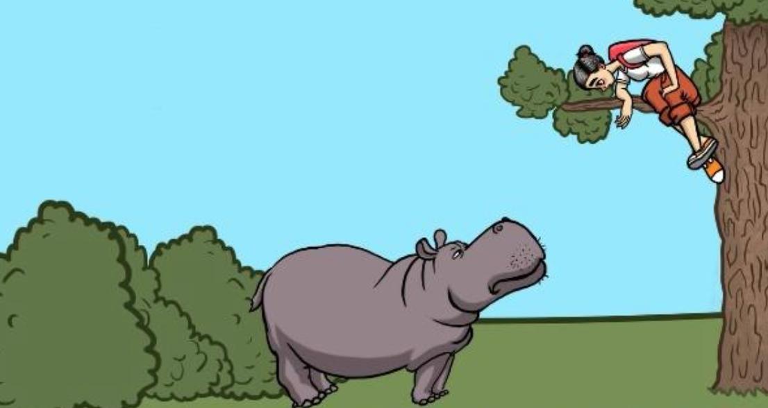 动物遇到危险会怎么做,野外遇到危险动物怎么办