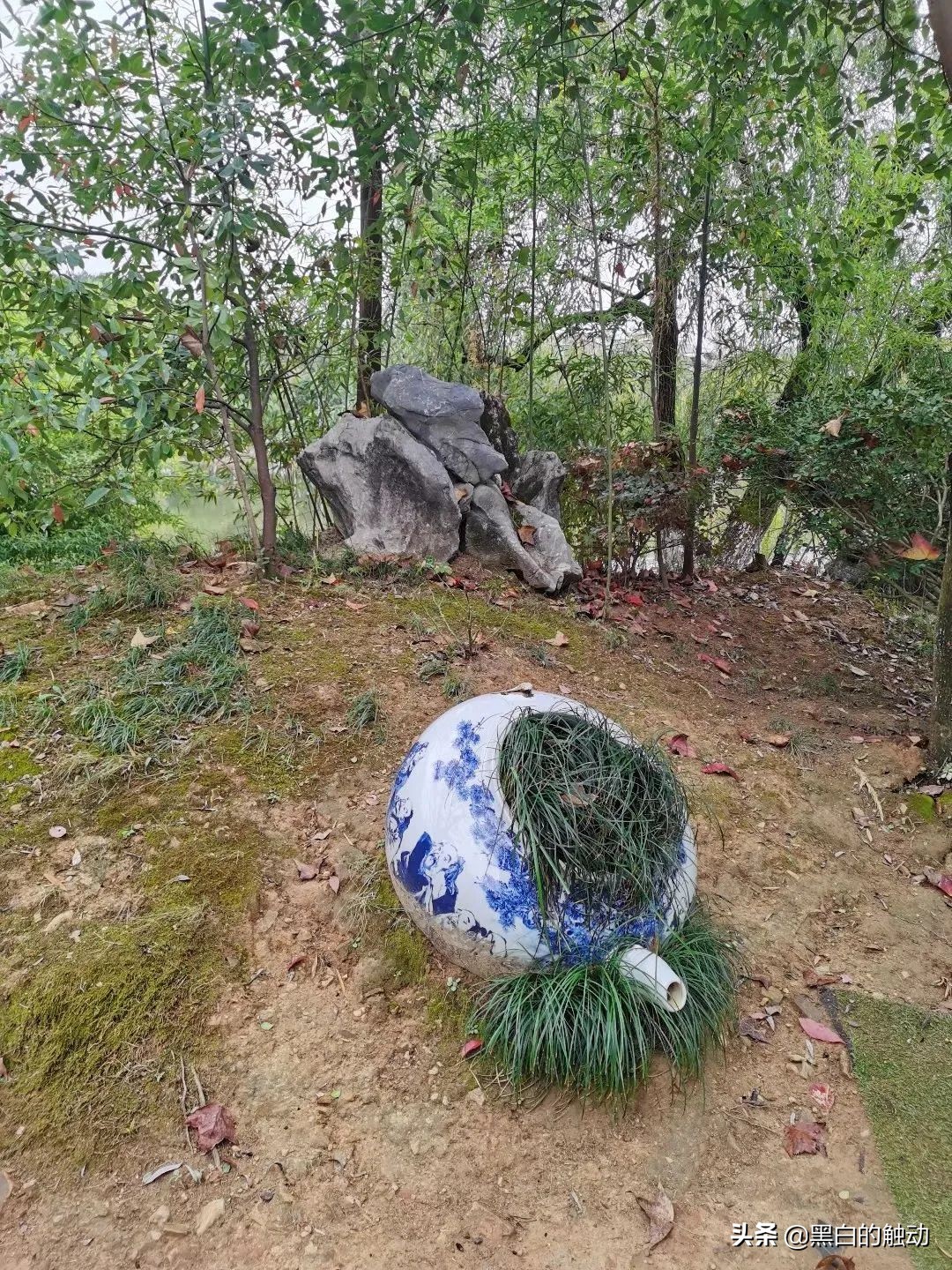 景德镇为什么能成为御窑,瓷都景德镇瓷器