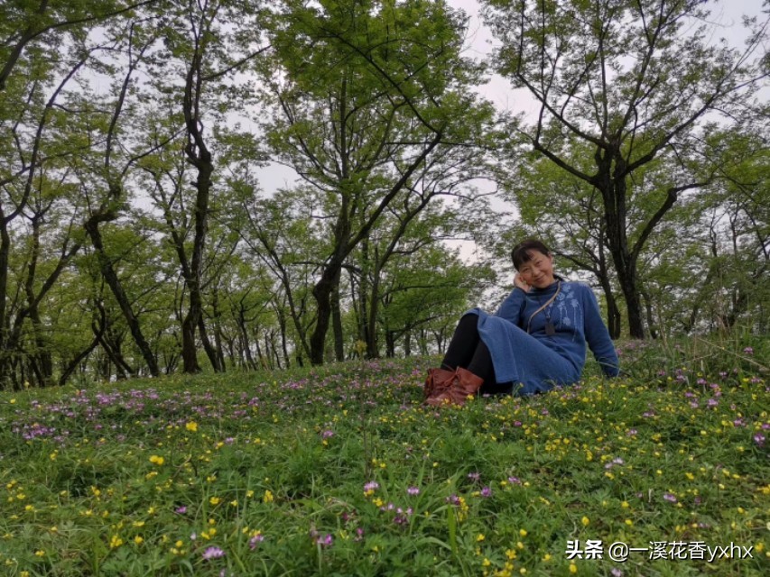 春风又绿江南岸风景,春风又绿江南岸风景图片