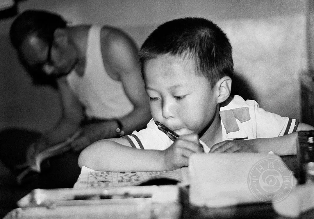 刘凤林的画家,摄影中国签约摄影师照片