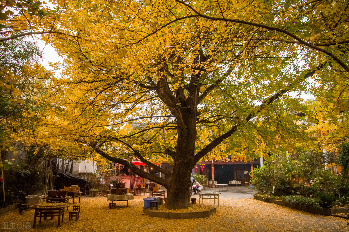 腾冲特色边境小镇,腾冲苏杭风景图片