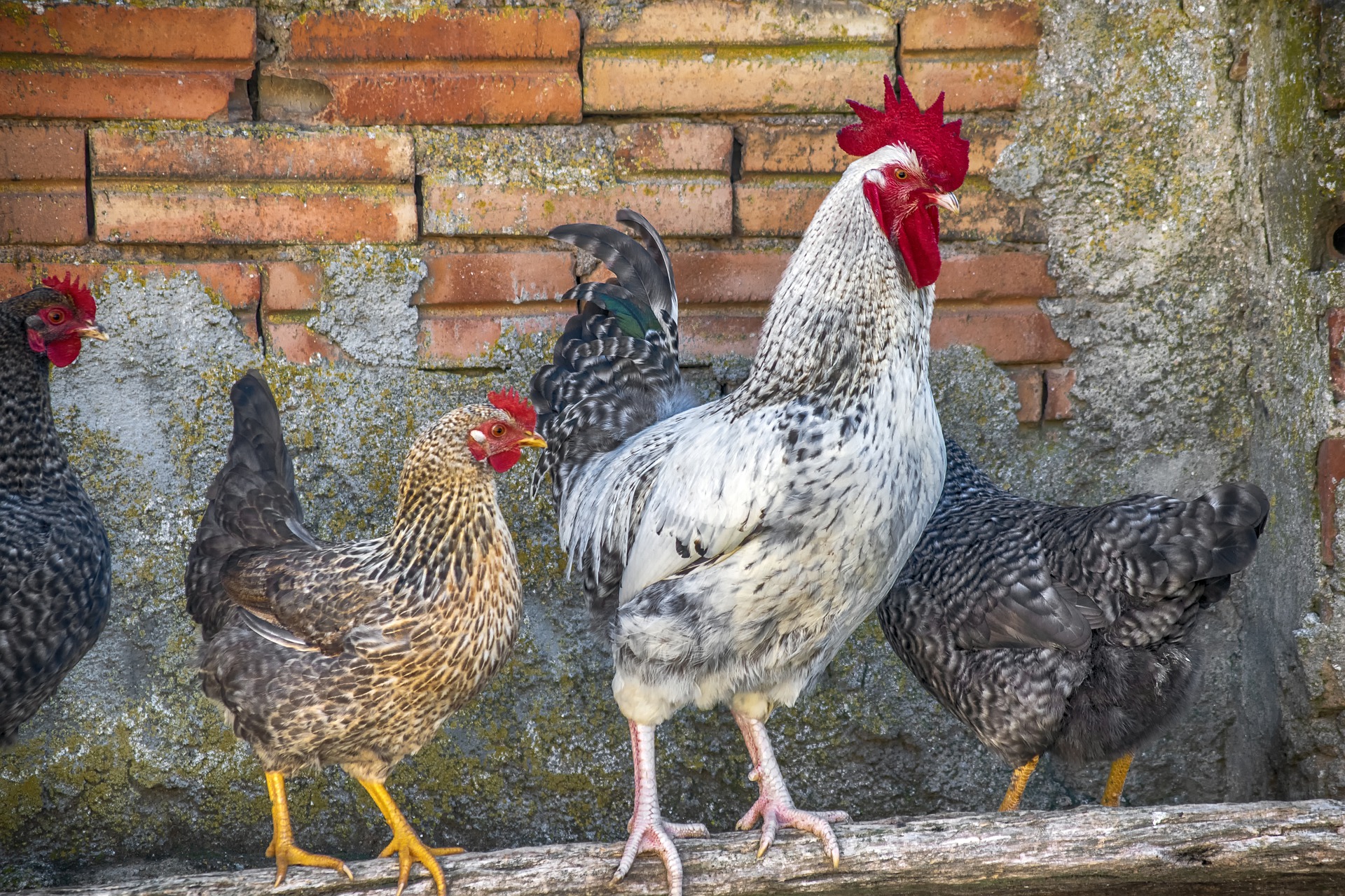 是什么让“左手摸右手”的另一半，焕发了生机？
