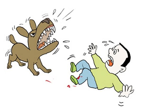 短篇小说：和谐街狗事