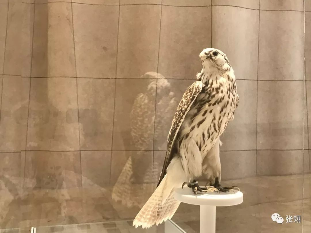 愉快的迪拜之旅,迪拜奢华商务之旅