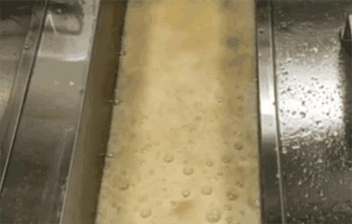 鲁程毕耀专家教你解决煎炸油常见的冒泡问题