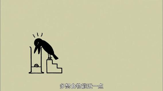 像乌鸦一样思考20集完整版中文,像乌鸦一样思考纪录片全集国语版