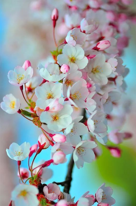 世界是你的也是我的但终归是你的,世界是你的也是我们的