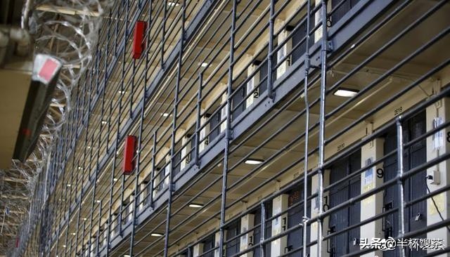 奥斯卡金奖真实故事,奥斯卡获奖片揭露人性的险恶