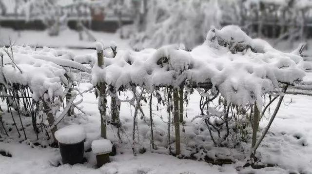 我国最后一次饥荒发生在什么时候,饥荒下雨怎么防止冻死
