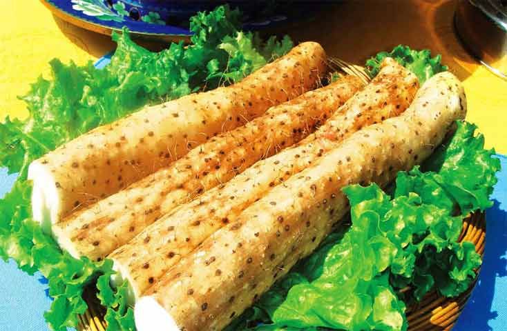 山药红斑是如何形成的,山药红斑病