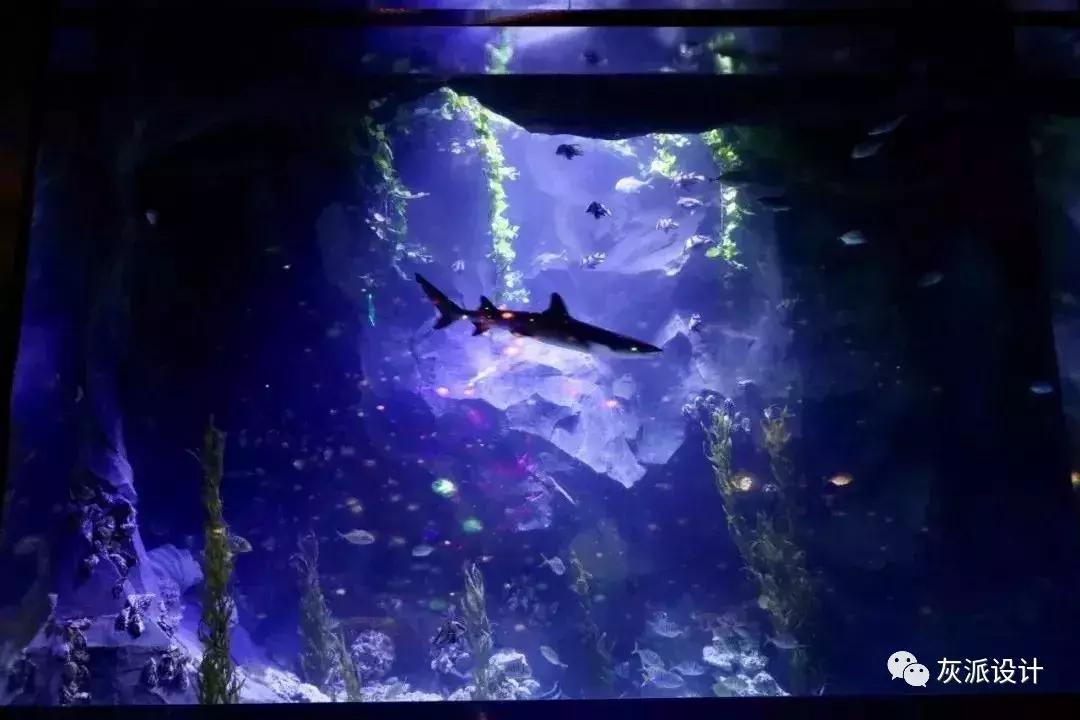 斥资3亿打造的深坑酒店,20亿打造的深坑酒店在何处