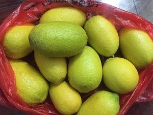 柠檬汁放冷冻可以保存多久,柠檬汁的做法