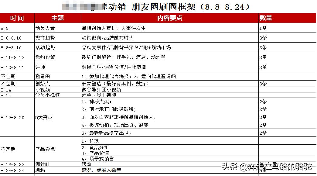 公司品牌运营案例,某品牌营销策划