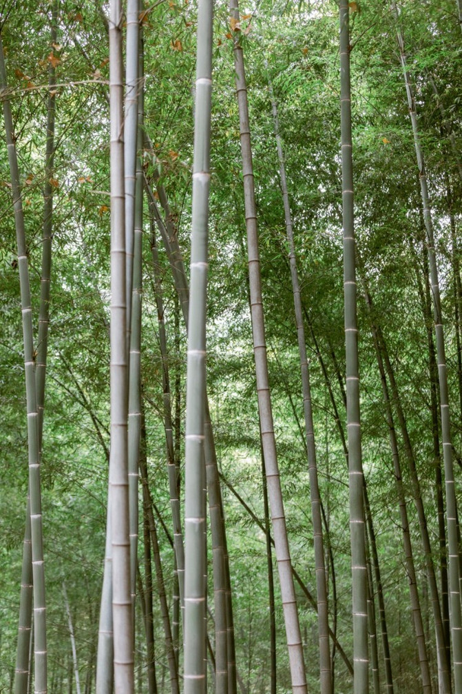 苏州灵岩山寺,苏州灵岩寺游记