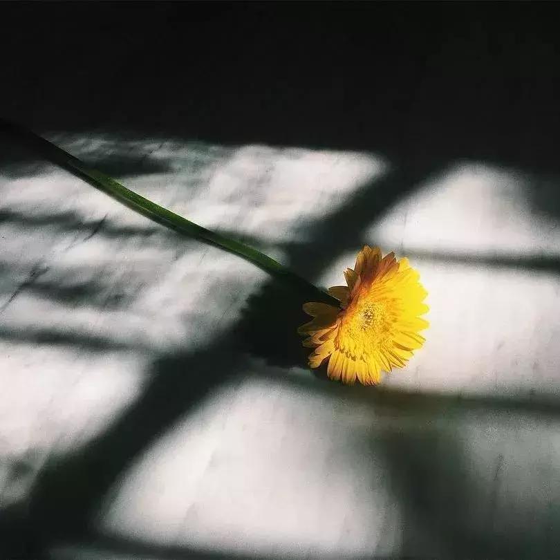 背景图推荐全白,背景图精选好物