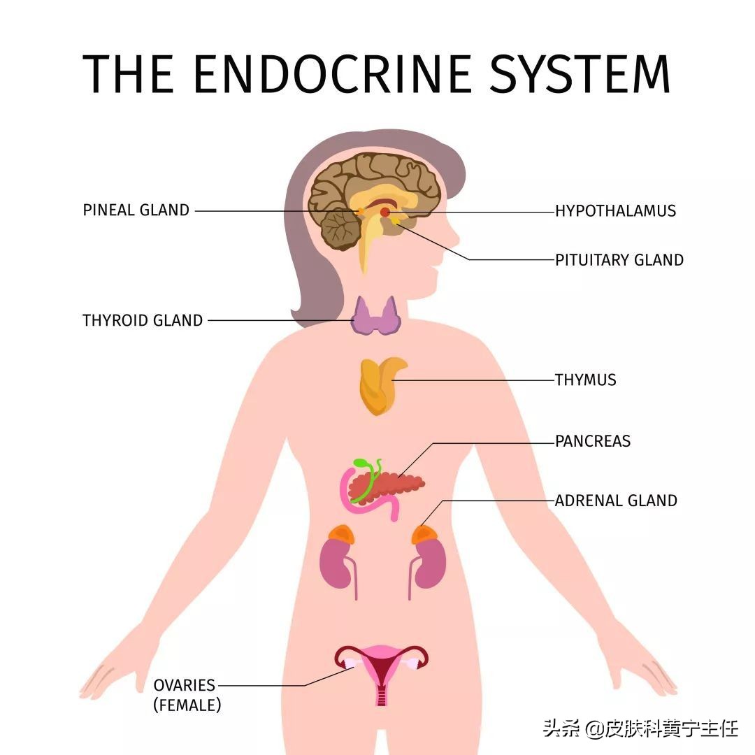 难治的*褐斑黄**，我该拿你怎么办？