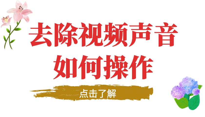 怎么把视频中的声音去掉只留人声,视频怎么消人声