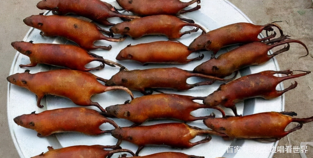 中国哪个地方喜欢吃老鼠肉,广西为什么爱吃老鼠肉